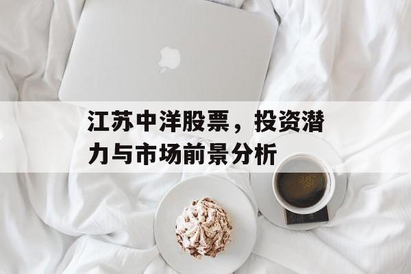 江苏中洋股票，投资潜力与市场前景分析