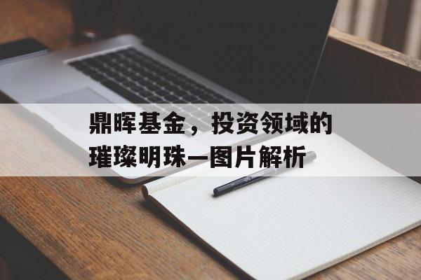 鼎晖基金，投资领域的璀璨明珠—图片解析