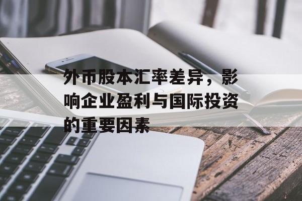 外币股本汇率差异，影响企业盈利与国际投资的重要因素
