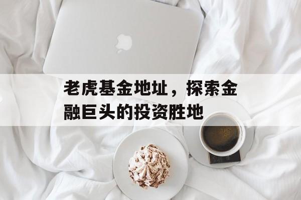 老虎基金地址，探索金融巨头的投资胜地