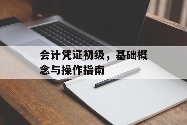 会计凭证初级，基础概念与操作指南