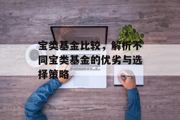 宝类基金比较，解析不同宝类基金的优劣与选择策略