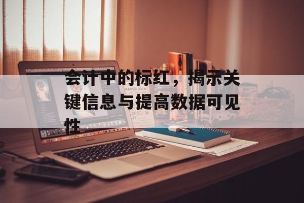 会计中的标红，揭示关键信息与提高数据可见性