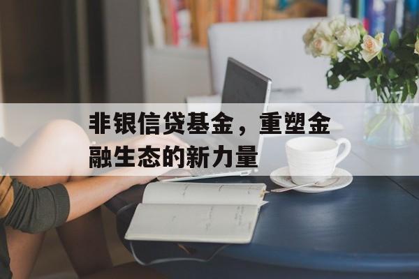 非银信贷基金，重塑金融生态的新力量
