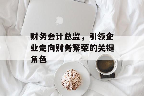财务会计总监，引领企业走向财务繁荣的关键角色