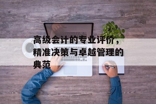 高级会计的专业评价，精准决策与卓越管理的典范