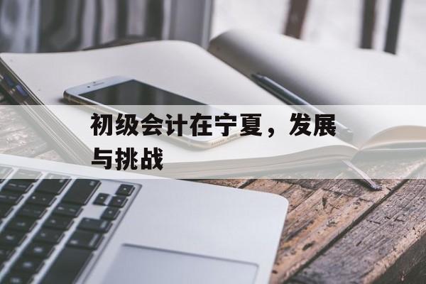初级会计在宁夏，发展与挑战