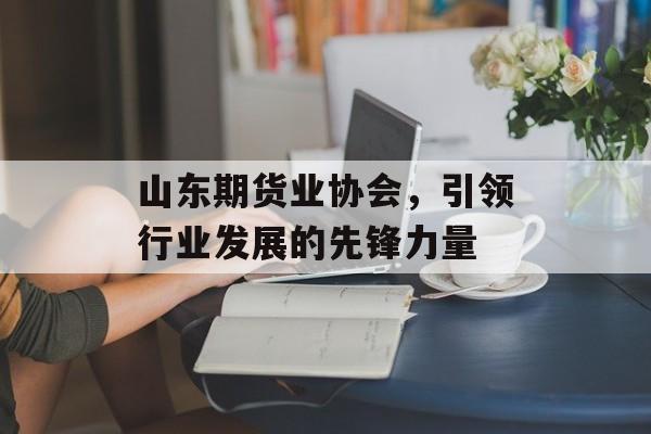 山东期货业协会，引领行业发展的先锋力量