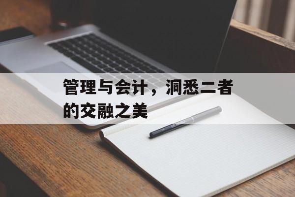 管理与会计，洞悉二者的交融之美