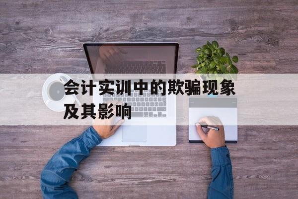 会计实训中的欺骗现象及其影响