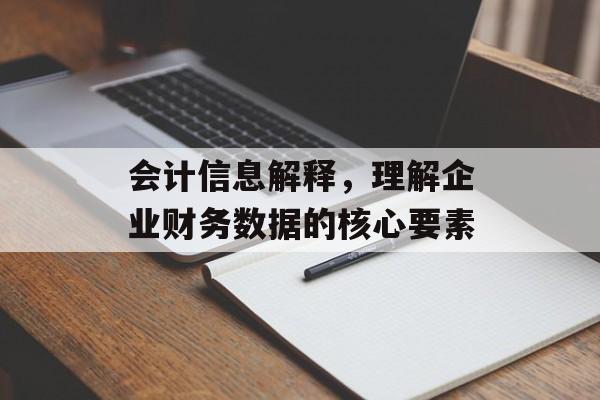 会计信息解释，理解企业财务数据的核心要素