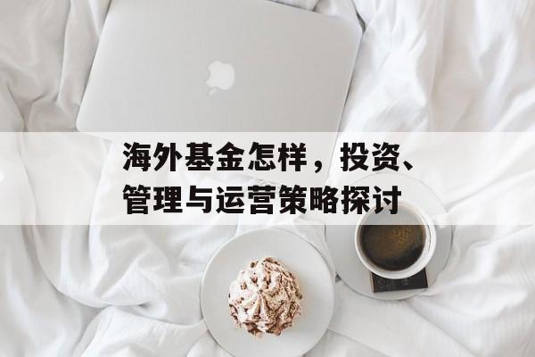 海外基金怎样，投资、管理与运营策略探讨