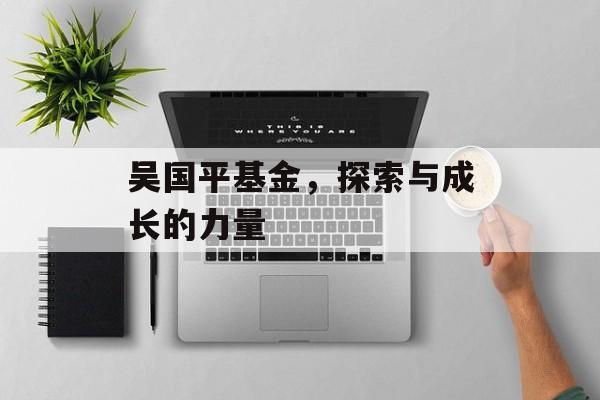 吴国平基金，探索与成长的力量