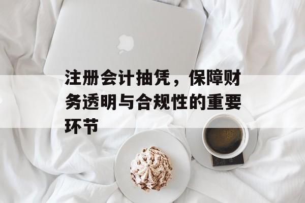 注册会计抽凭，保障财务透明与合规性的重要环节