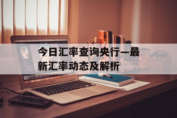 今日汇率查询央行—最新汇率动态及解析