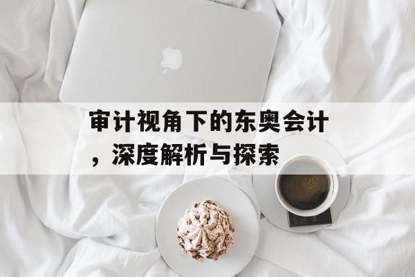 审计视角下的东奥会计，深度解析与探索