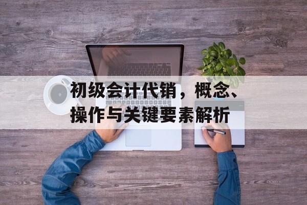 初级会计代销，概念、操作与关键要素解析