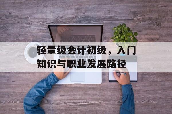 轻量级会计初级，入门知识与职业发展路径