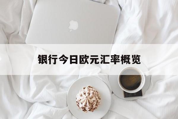 银行今日欧元汇率概览