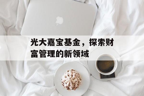 光大嘉宝基金，探索财富管理的新领域