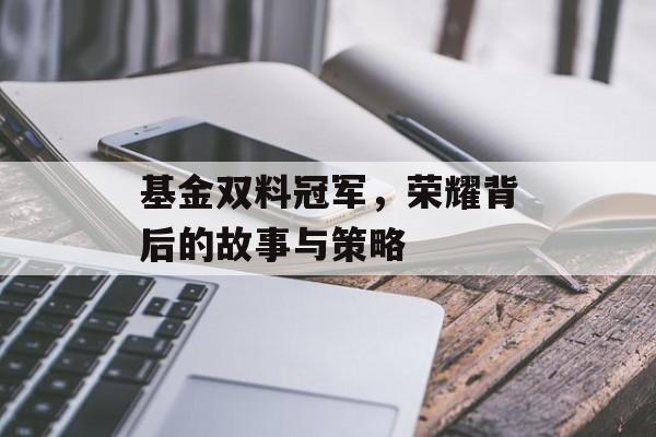 基金双料冠军，荣耀背后的故事与策略