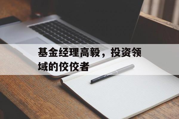基金经理高毅，投资领域的佼佼者