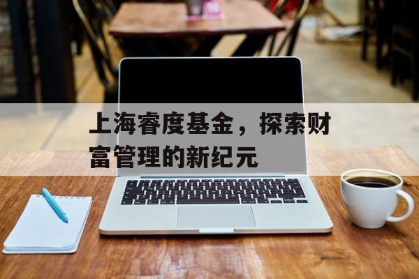 上海睿度基金，探索财富管理的新纪元
