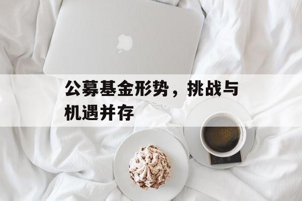 公募基金形势，挑战与机遇并存