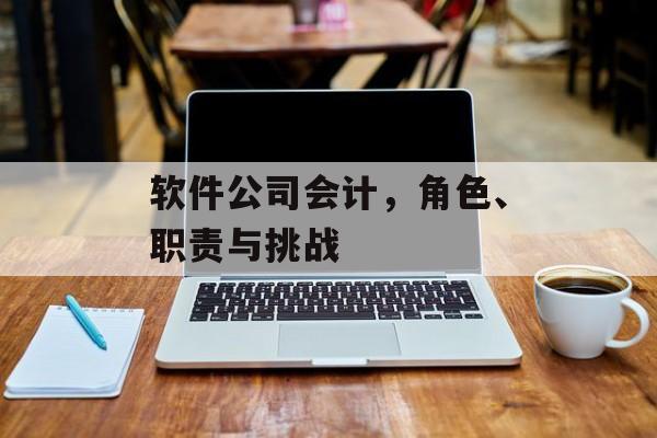 软件公司会计，角色、职责与挑战