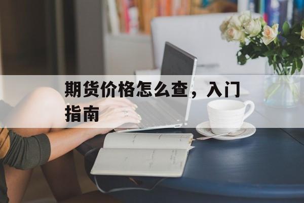 期货价格怎么查，入门指南