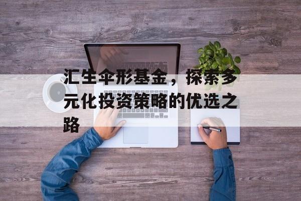 汇生伞形基金，探索多元化投资策略的优选之路