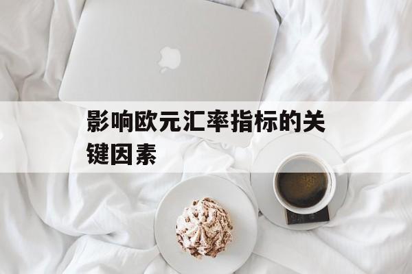 影响欧元汇率指标的关键因素