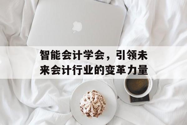 智能会计学会，引领未来会计行业的变革力量