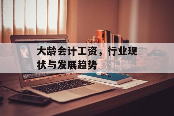 大龄会计工资，行业现状与发展趋势