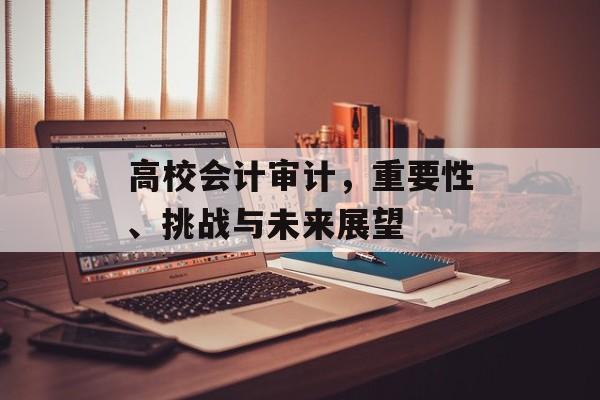 高校会计审计，重要性、挑战与未来展望