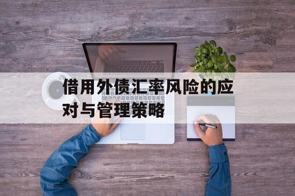借用外债汇率风险的应对与管理策略