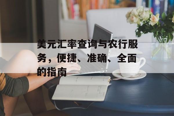 美元汇率查询与农行服务，便捷、准确、全面的指南