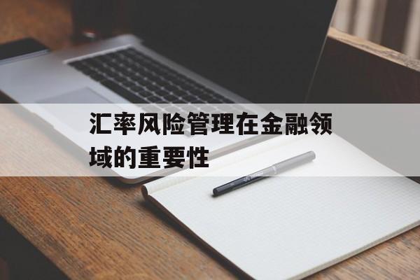 汇率风险管理在金融领域的重要性