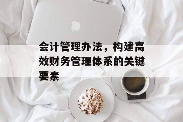 会计管理办法，构建高效财务管理体系的关键要素