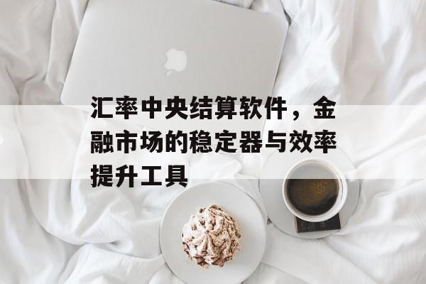 汇率中央结算软件，金融市场的稳定器与效率提升工具