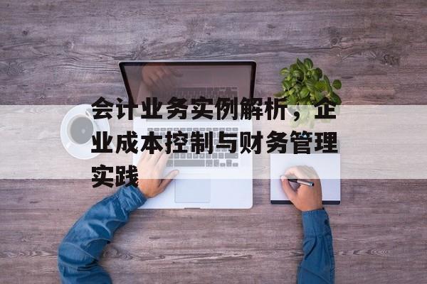 会计业务实例解析，企业成本控制与财务管理实践
