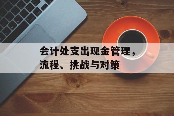 会计处支出现金管理，流程、挑战与对策