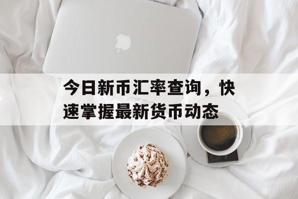 今日新币汇率查询，快速掌握最新货币动态