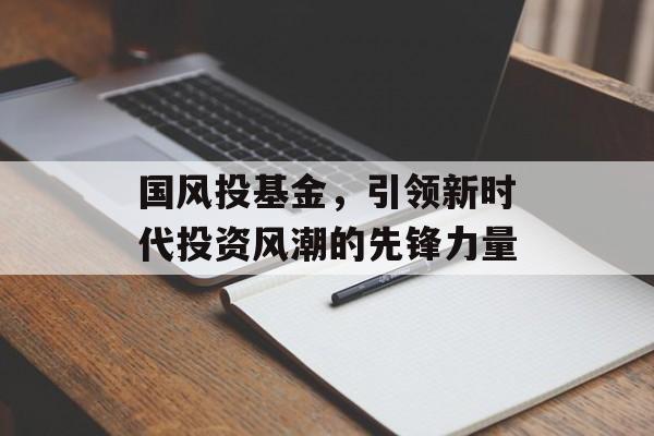 国风投基金，引领新时代投资风潮的先锋力量