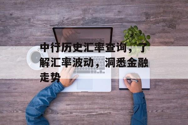 中行历史汇率查询，了解汇率波动，洞悉金融走势