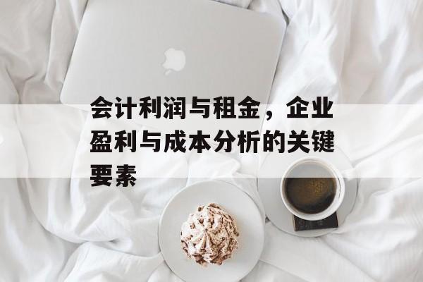 会计利润与租金，企业盈利与成本分析的关键要素