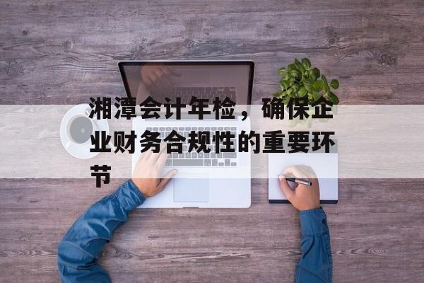 湘潭会计年检，确保企业财务合规性的重要环节