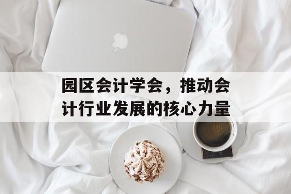 园区会计学会，推动会计行业发展的核心力量