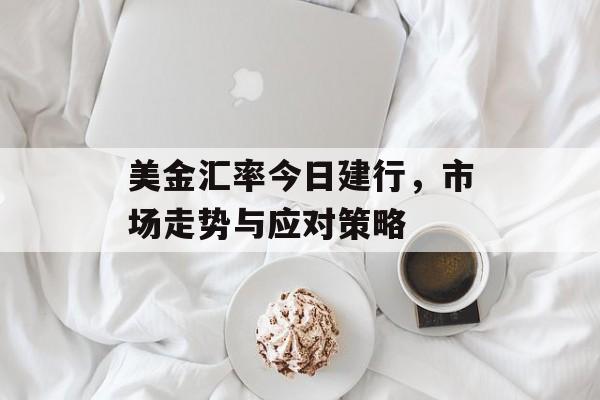 美金汇率今日建行，市场走势与应对策略