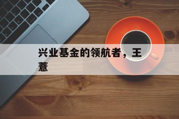 兴业基金的领航者，王薏